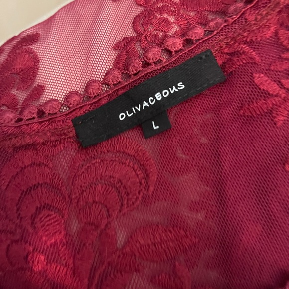 Excellent condition mini dress by Olivaceous - Picture 6 of 7